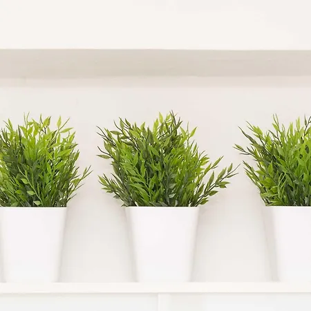 House Ariva Daire Dubrovnik